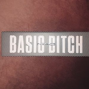 Basic Bitch MAC eye shadow palate